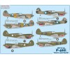 P-40E Warhawk Claws and Teeth   1:72