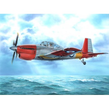 Boulton & Paul Sea Balliol T.21   1:72