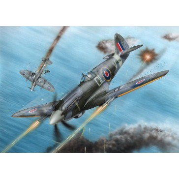 Spitfire F Mk.21 No.91 Sq.RAF in WWII   1:72