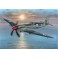 Supermarine Seafire Mk.45   1:72