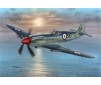 Supermarine Seafire Mk.45   1:72