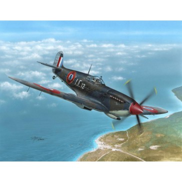 Supermarine Seafire Mk.III Aeronavale&Ir   1:48