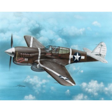 P-40F Warhawk "Guadalcanal Hawks"   1:72