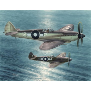 Seafire Mk.XV "Far East Service"   1:48