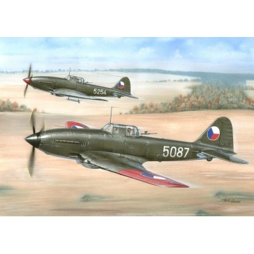 Avia B-33 Czechoslovakian built IL-10 Beast  1:48