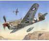 P-40F Warhawk Merlin-powered   1:72