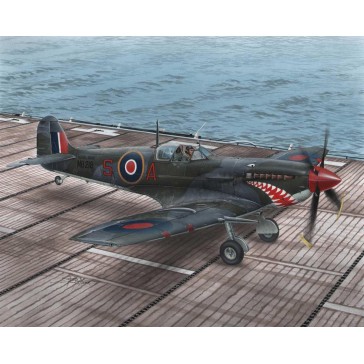 Supermarine Seafire Mk.II Torch & Avalan   1:48