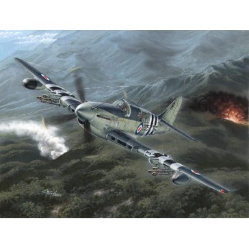 Fairey Firefly Mk.4/5 "Korean War"   1:48