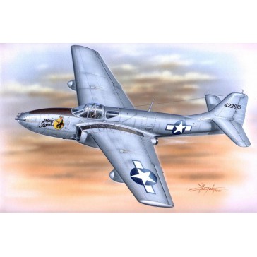 Bell P-59 A/B Airacomet   1:72