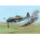 Ilyushin Il-10 "Last WWII Days"   1:48