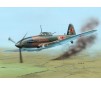 Ilyushin Il-10 "Last WWII Days"   1:48