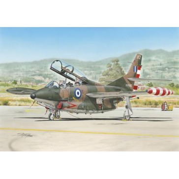 T-2 Buckeye "Camouflaged Trainer"   1:32