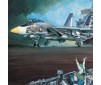 USN F-14A 'VF-143 Punkin Dogs' 1/72