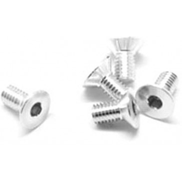 Alu Screw Allen Csk M3 x 6 Silver (5)