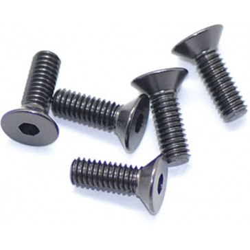 Alu Screw Allen Csk M4 x 12 Gray (5)