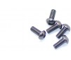 Alu Screw Allen Roundhead M2.5 x 6 Gray (5)