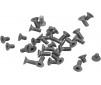 Screw Set for XRAY T4'20 Tungsten (32)