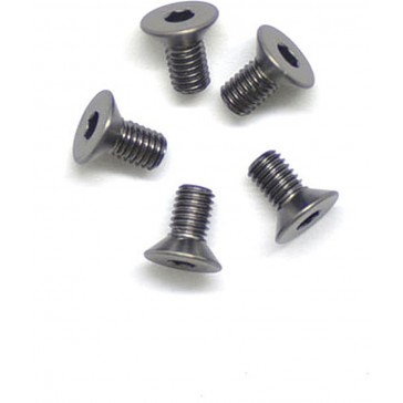 Alu Screw Allen Csk M3 x 6 Gray (5)