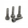 Cylinder Head Bolt 4pcs - Sch R18