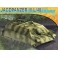 DISC.. 1/72 JAGDPANTZER IV L/48 EARLY PROD. (11/20) *