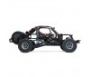 Super Baja Rey 2.0: 1/6 4wd Elec Desert Truck-King