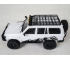 Patriot 1/18 Scaler RTR car kit