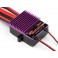 DISC.. GT SPEED CONTROLLER (E-ZILLA - E-SAVAGE)