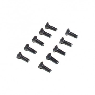 M2.5 x 8mm Flat Head Screw (10)