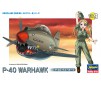 EGG PLANE P-40 WARHAWK TH9 (5/21)