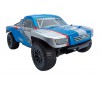 painted body shell S10 SC Blue/Silver