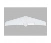 Painted Wing: V1200