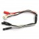 Câble de charge pour 3 Lipo 1S avec prise de ballance (XH) : MCX, MSR