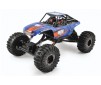 RAVINE 1/10 RTR M.O.A. ROCK BUGGY CRAWLER RTR