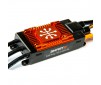 Avian 100Amp Brushless Smart ESC, 3-6S Ver. A