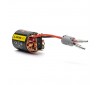 Firma 35T Rebuildable 3 Pole Brushed Crawler Motor