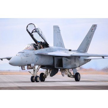 F/A-18F Super Hornet  1/48