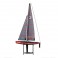 FOCUS V2 ONE METRE SAILBOAT RTR