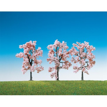 3 JAPANSE KERSENBOMEN