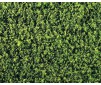 LOOFVLIES MIDDELGROEN