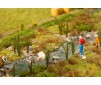 1/87 24 KATTENSTAARTEN/RIET