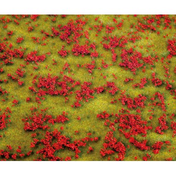 PREMIUM LANDSCHAPS-SEGMENT BLOEMENWEIDE ROOD