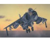 1/72 FRS.1 SEA HARRIER (6/22) *