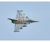 1/14 Jet 64mm EDF Dassault Rafale PNP kit (Grey/Tiger) w/ reflex syst