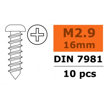 Zelftappende cilinderkopschroef - 2,9X16mm - Gegalvaniseerd (10st)