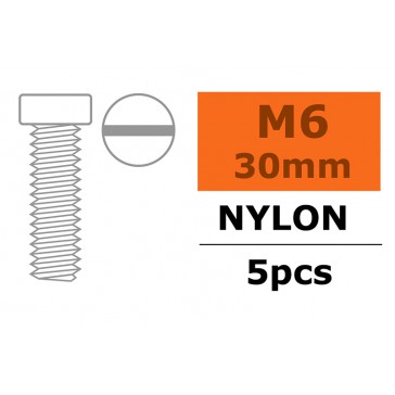 Pan Head Screw - M6X30 Nylon (5pcs)