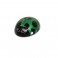 DISC.. QR Lady Bird : Canopy green V2