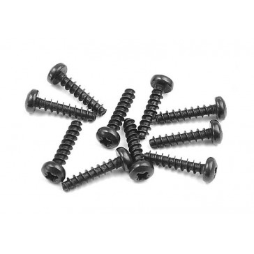 Screw Phillips 2.5X12 (10)