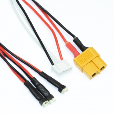 Câble de charge XT60 : 3 Lipo 1S (MCX, MSR)