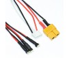 Câble de charge XT60 : 3 Lipo 1S (MCX, MSR)