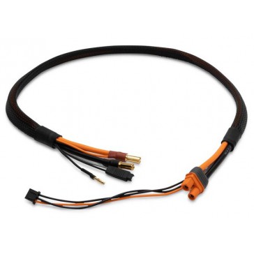 Pro Series Race 2s Charge Cable: IC3/5mm 2'